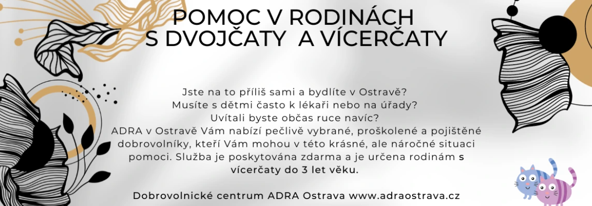 Snímek obrazovky 2025-05-28 102222
